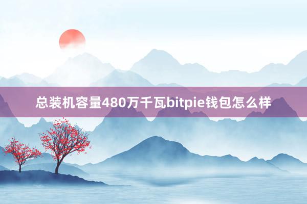 总装机容量480万千瓦bitpie钱包怎么样