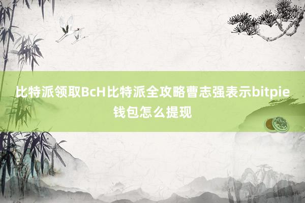 比特派领取BcH比特派全攻略曹志强表示bitpie钱包怎么提现