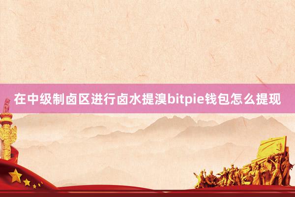 在中级制卤区进行卤水提溴bitpie钱包怎么提现