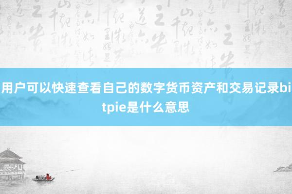 用户可以快速查看自己的数字货币资产和交易记录bitpie是什么意思