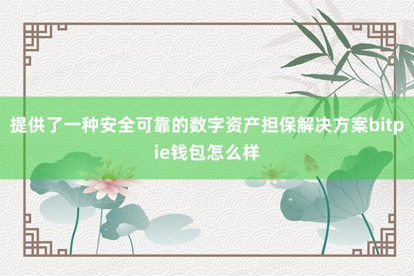 提供了一种安全可靠的数字资产担保解决方案bitpie钱包怎么样