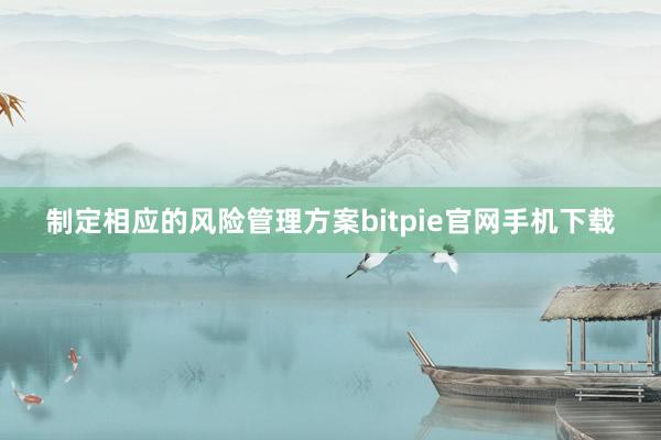 制定相应的风险管理方案bitpie官网手机下载