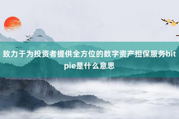 致力于为投资者提供全方位的数字资产担保服务bitpie是什么意思