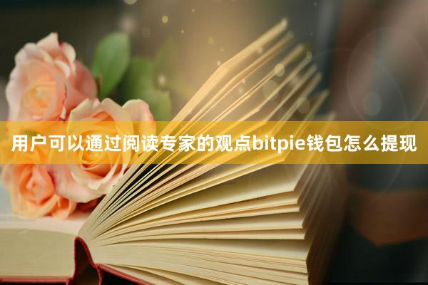 用户可以通过阅读专家的观点bitpie钱包怎么提现