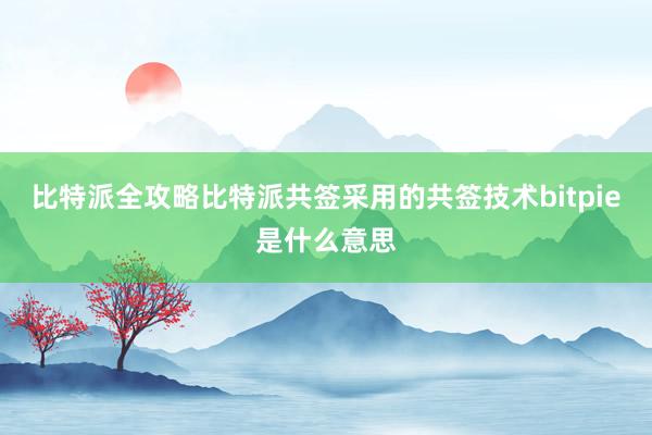 比特派全攻略比特派共签采用的共签技术bitpie是什么意思