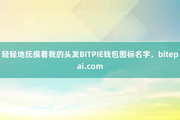 轻轻地抚摸着我的头发BITPIE钱包图标名字，bitepai.com