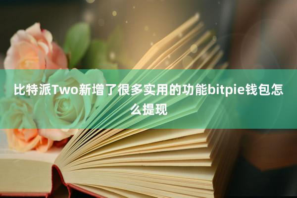 比特派Two新增了很多实用的功能bitpie钱包怎么提现