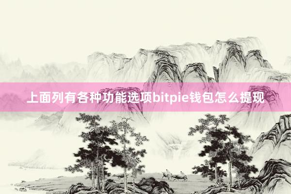 上面列有各种功能选项bitpie钱包怎么提现