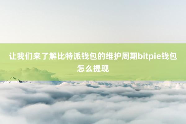 让我们来了解比特派钱包的维护周期bitpie钱包怎么提现