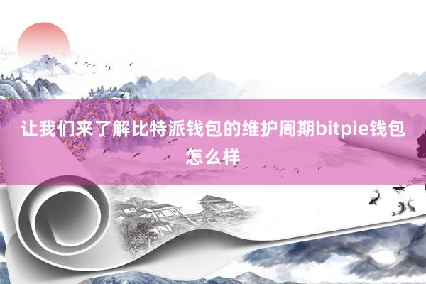 让我们来了解比特派钱包的维护周期bitpie钱包怎么样