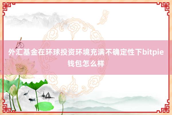 外汇基金在环球投资环境充满不确定性下bitpie钱包怎么样