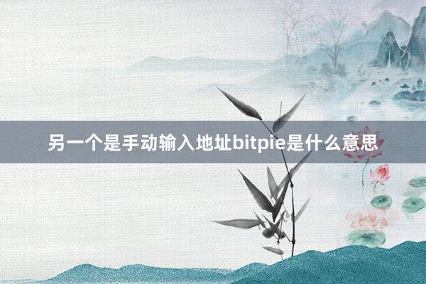 另一个是手动输入地址bitpie是什么意思