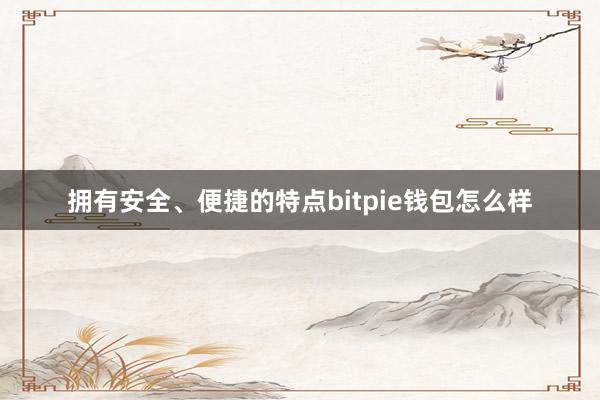 拥有安全、便捷的特点bitpie钱包怎么样