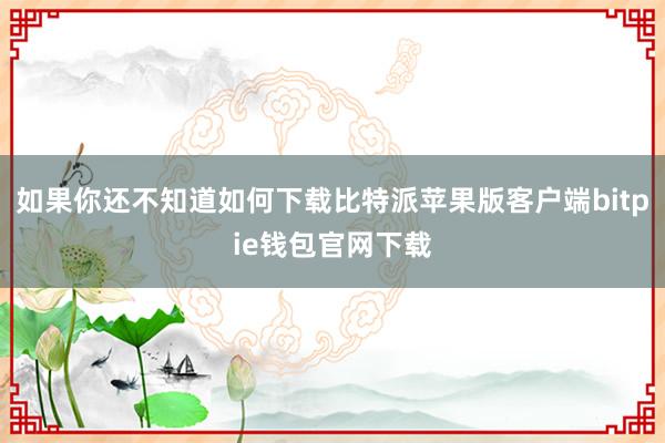 如果你还不知道如何下载比特派苹果版客户端bitpie钱包官网下载