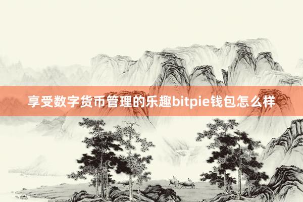 享受数字货币管理的乐趣bitpie钱包怎么样