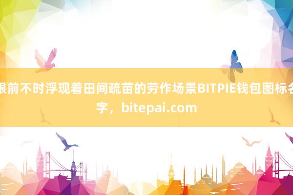 眼前不时浮现着田间疏苗的劳作场景BITPIE钱包图标名字，bitepai.com