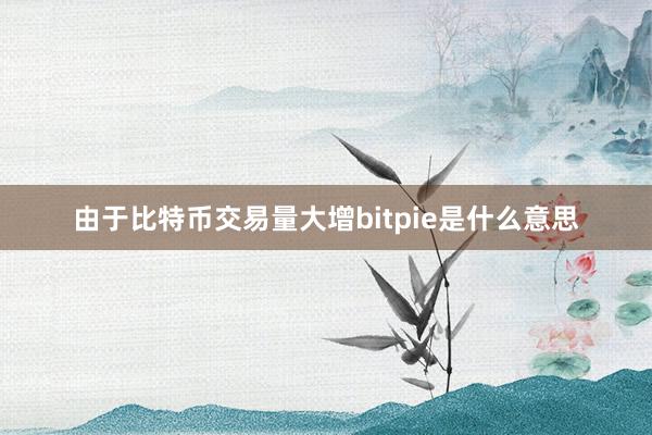 由于比特币交易量大增bitpie是什么意思