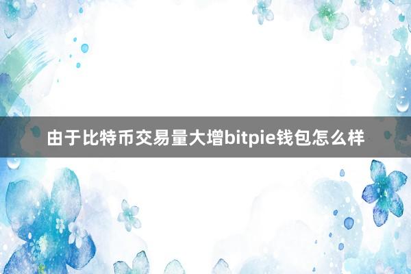 由于比特币交易量大增bitpie钱包怎么样