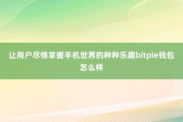 让用户尽情掌握手机世界的种种乐趣bitpie钱包怎么样