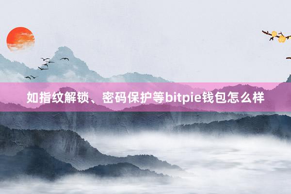 如指纹解锁、密码保护等bitpie钱包怎么样