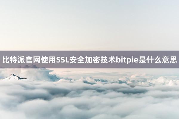 比特派官网使用SSL安全加密技术bitpie是什么意思