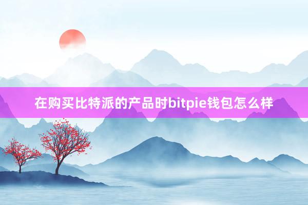 在购买比特派的产品时bitpie钱包怎么样