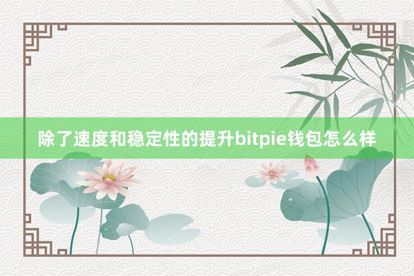 除了速度和稳定性的提升bitpie钱包怎么样