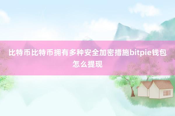 比特币比特币拥有多种安全加密措施bitpie钱包怎么提现