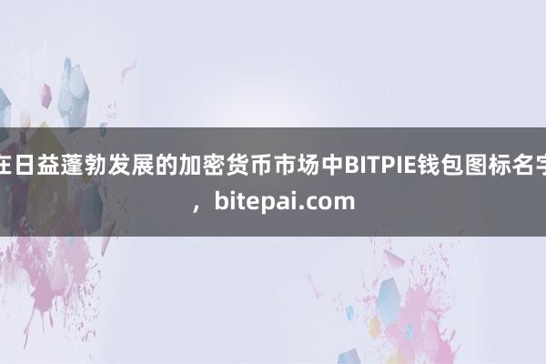 在日益蓬勃发展的加密货币市场中BITPIE钱包图标名字，bitepai.com