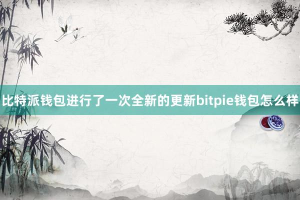 比特派钱包进行了一次全新的更新bitpie钱包怎么样