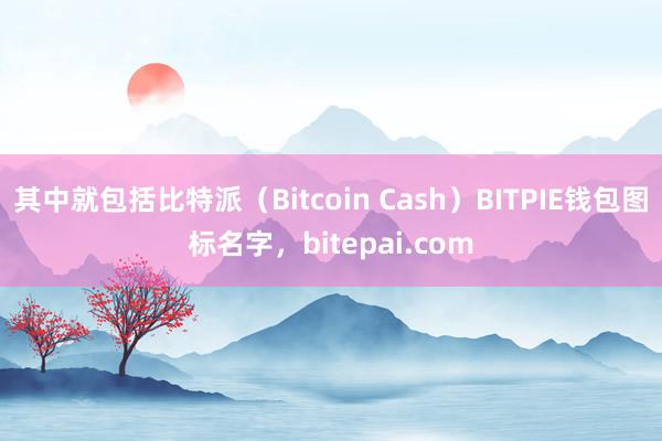 其中就包括比特派（Bitcoin Cash）BITPIE钱包图标名字，bitepai.com