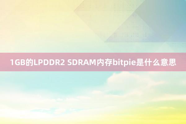 1GB的LPDDR2 SDRAM内存bitpie是什么意思