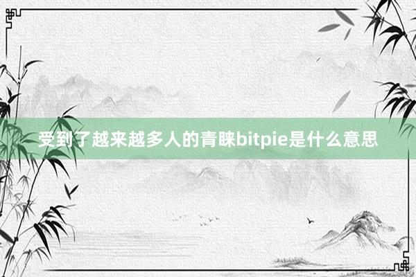 受到了越来越多人的青睐bitpie是什么意思