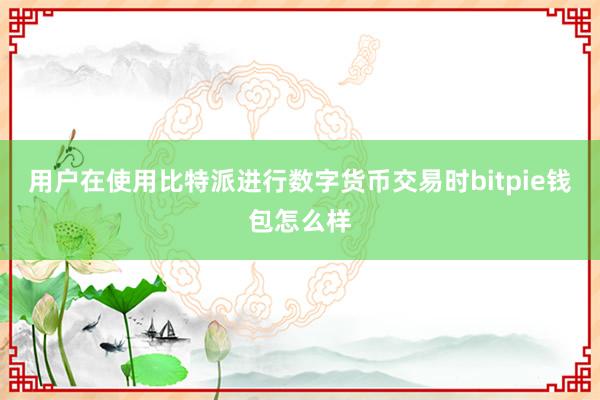 用户在使用比特派进行数字货币交易时bitpie钱包怎么样