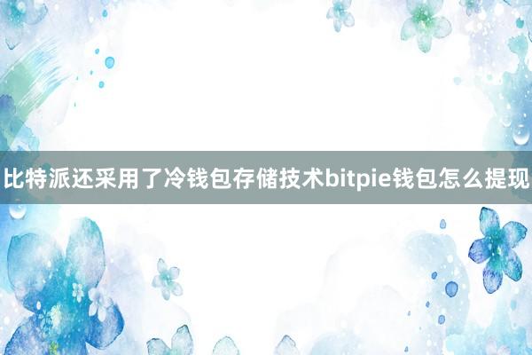 比特派还采用了冷钱包存储技术bitpie钱包怎么提现