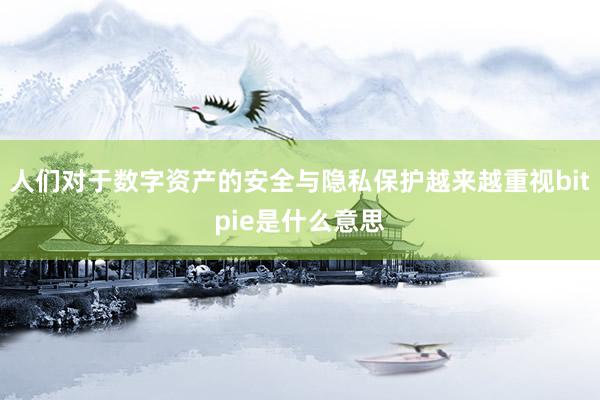 人们对于数字资产的安全与隐私保护越来越重视bitpie是什么意思