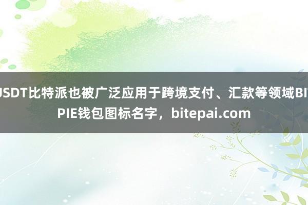 USDT比特派也被广泛应用于跨境支付、汇款等领域BITPIE钱包图标名字，bitepai.com