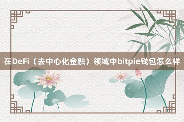 在DeFi（去中心化金融）领域中bitpie钱包怎么样