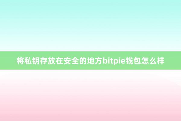 将私钥存放在安全的地方bitpie钱包怎么样