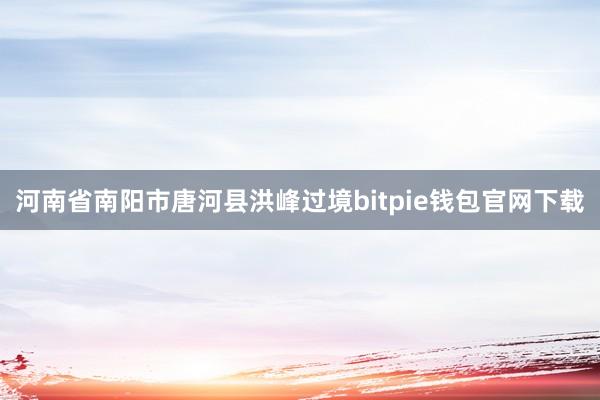 河南省南阳市唐河县洪峰过境bitpie钱包官网下载