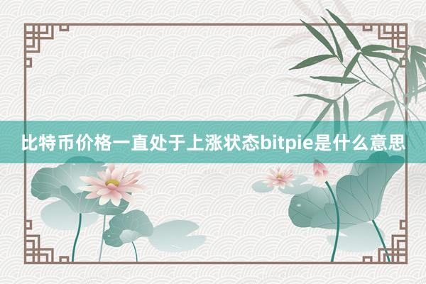 比特币价格一直处于上涨状态bitpie是什么意思