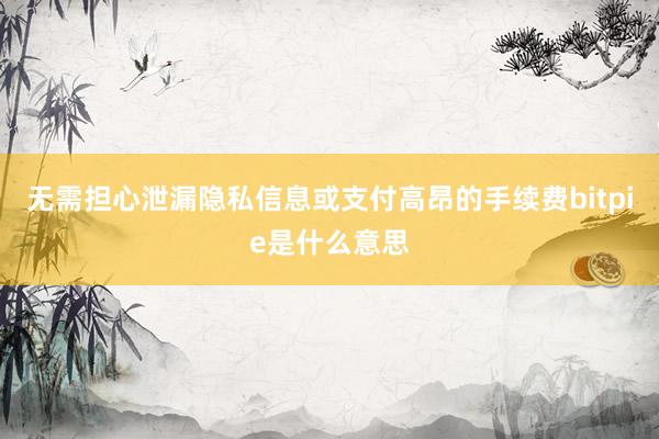 无需担心泄漏隐私信息或支付高昂的手续费bitpie是什么意思