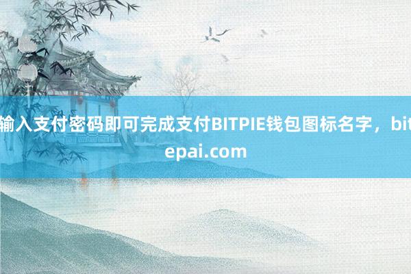 输入支付密码即可完成支付BITPIE钱包图标名字，bitepai.com