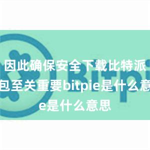 因此确保安全下载比特派钱包至关重要bitpie是什么意思