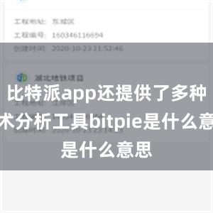 比特派app还提供了多种技术分析工具bitpie是什么意思