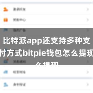 比特派app还支持多种支付方式bitpie钱包怎么提现