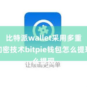 比特派wallet采用多重加密技术bitpie钱包怎么提现