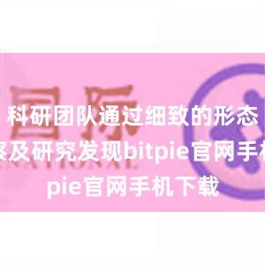 科研团队通过细致的形态学观察及研究发现bitpie官网手机下载