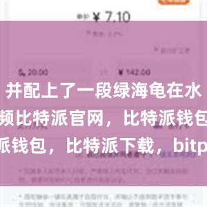 并配上了一段绿海龟在水里游泳的视频比特派官网，比特派钱包，比特派下载，bitpie.com