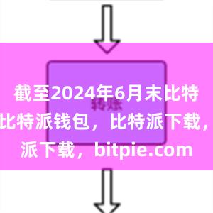 截至2024年6月末比特派官网，比特派钱包，比特派下载，bitpie.com